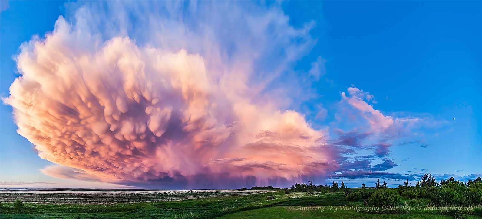 Diese Mammatus-Cumulonimbus zog 2013 im Süden von Alberta in Kanada abends über den Himmel.