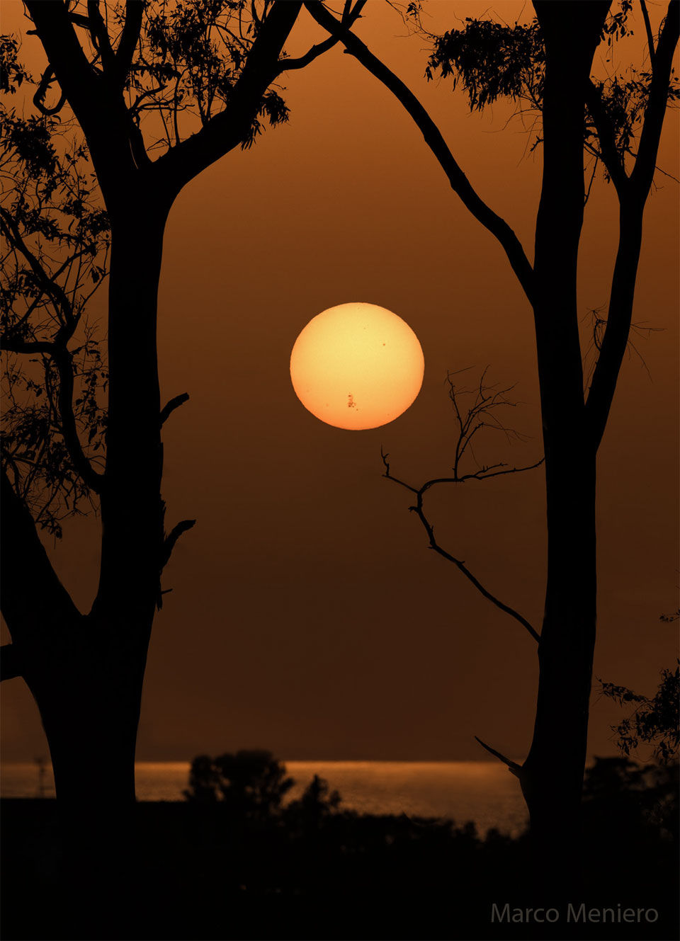 Zwischen zwei Bäumen leuchtet die gelborangefarbene Sonne zwischen den Silhouetten zweier Bäume. Der Himmel ist orangebraun gefärbt.