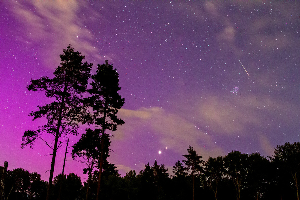 Hinter einem Wald, aus dem die Silhouetten zweier Bäume im Vordergrund hochragen, leuchtet der sternklare Himmel intensiv violett. Über den Plejaden rechts zischt ein Meteor durchs Bild. Unten leuchten die Planeten Mars und Jupiter knapp über dem Horizont.