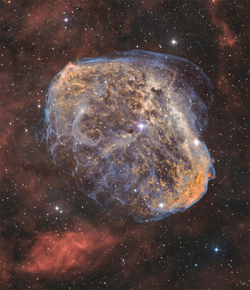 In der Bildmitte prangt riesengroß eine detailreiche Aufnahme des Sichelnebels NGC 6888 im Sternbild Schwan. Im Hintergrund sind viele zarte Sterne und einige Nebelschwaden verteilt.