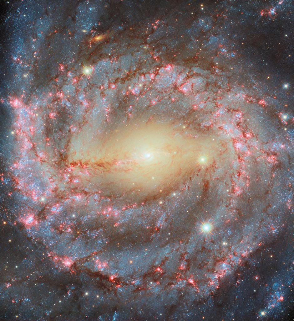 Die Seyfertgalaxie NGC 5643 Sternbild Wolf ist von oben zu sehen. Das Porträt aus Daten des Weltraumteleskops Hubble zeigt die inneren 40.000 Lichtjahre der Sterneninsel.