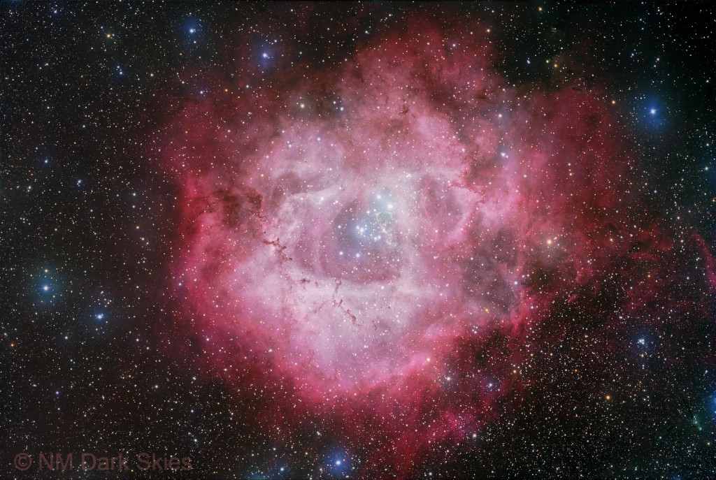 Von vielen kleinen Sternen umgeben leuchtet der Rosettennebel NGC 2237 mitten im Bild. In der Mitte ist eine Höhlung mit einem Haufen heller Sterne.