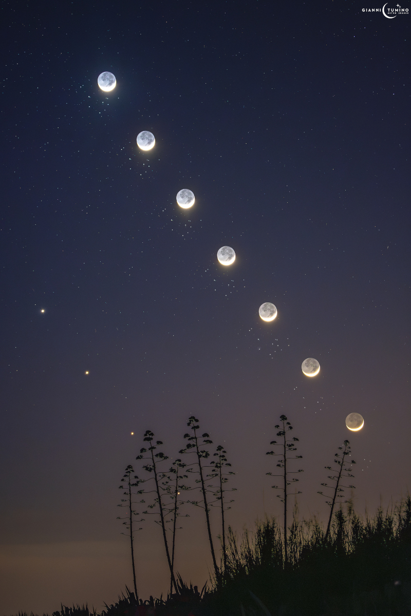 Sieben Bilder des Mondes sind diagonal im Bild angeordnet, darunter glitzern die "sieben Schwestern". Wir nennen sie auch Plejaden oder M45, und so gut wie nie sieht man dort genau sieben Sterne. Das helle Licht rechts ist der Planet Venus.